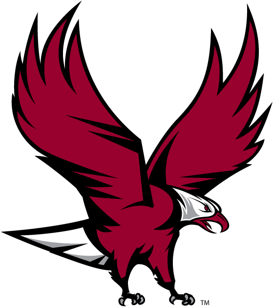 NCCU Eagles 2006-Pres Partial Logo iron on transfers for clothing